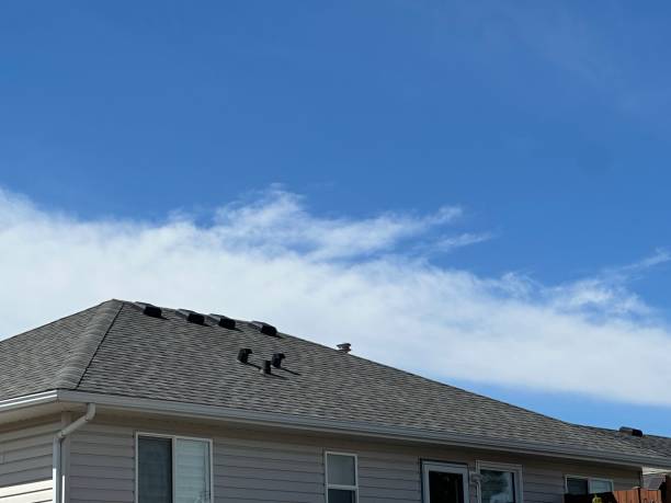 Fast & Reliable Emergency Roof Repairs in Lacoste, TX